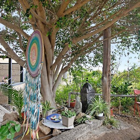 Casa Munay Granadilla De Abona Exterior foto